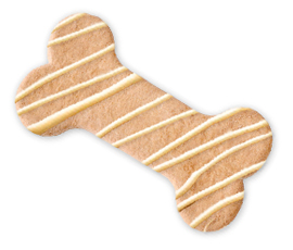 bow wow biscuit